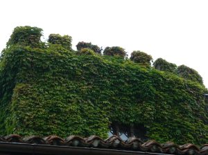 Torre romántica y digna residencia de personajes como Sabino Ordás y don  Tancredo Muerto