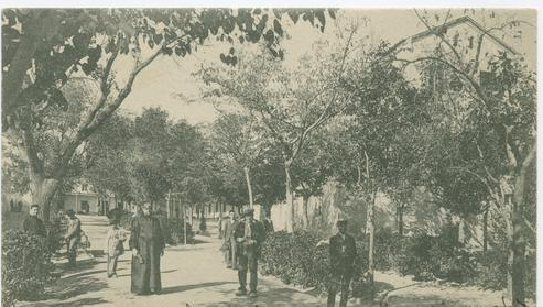 manicomio 3 ciempozuelos