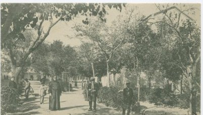 manicomio 3 ciempozuelos